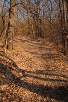 Lesní cesta z Vonoklad do Dobřichovic
