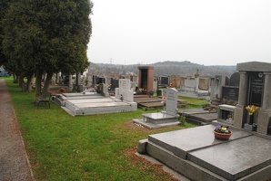 Hřbitov Družec