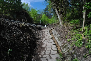 Výstup z Prokopského údolí na Butovické hradiště