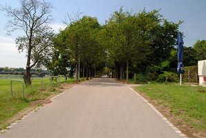 Parková cesta podél Labe