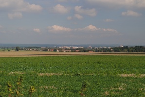 Pole mezi Cvrčovicemi a Popovicemi s výhledem na Brandýs nad Labem