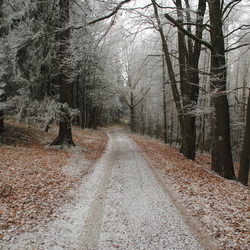 2014-01-01 Novoroční výstup na Zelenou horu