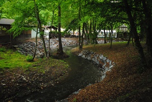Kunratický potok v Kunratickém lese