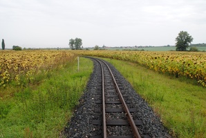 Úzkorozchodá trať řepařské drážky u stanice Výrovna