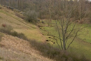 Meandry Prokopského potoka v miniarboretru Albertův vrch
