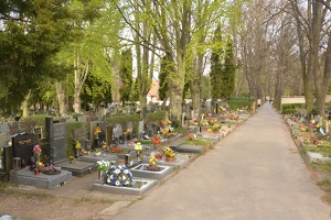 Hřbitov Vokovice