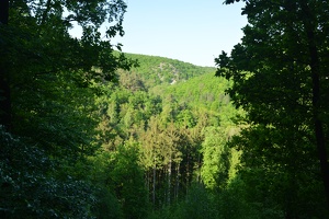 Výhled z Hradiště na vrch Šance