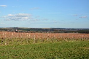 Výhled na vinice a Retz z Heiliger Stein