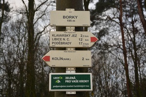Borky (195 m)