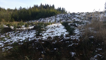 Sníh v Brdech