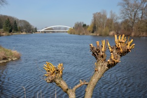 Litolský most