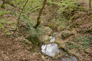 Vodní tok u rozcestí pod Třebsínem