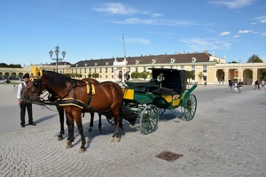 Kůn na zámku Schönbrunn