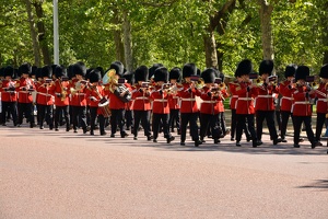 Královská garda pochodující v The Mall